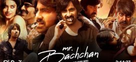 Mr. Bachchan (2024) Dual Audio Hindi (HQ Dub) HDRip x264 AAC 1080p 720p 480p Download