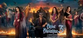 Bhool Bhulaiyaa 3 (2024) Hindi HDRip x264 AAC 1080p 720p 480p Dwonload