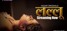 Lallu (2024) S01E04T06 Nazar Hindi Web Series HDRip x264 AAC 1080p 720p Download