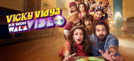 Vicky Vidya ka Woh Wala Video (2024) Hindi HDTC-Rip x264 AAC 1080p 720p 480p Download