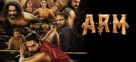 A.R.M (2024) UNCUT Dual Audio Hindi ORG HDRip x264 AAC 1080p 720p 480p ESub