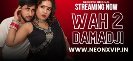 Wah Damad Ji 2 (2024) Uncut NeonX Originals Short Film 720p HDRip x264 AAC 250MB Download