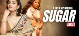 Sugar (2024) Uncut HotX Originals Short Film 720p HDRip x264 AAC 200MB Download