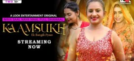 Kaam Sukh (2025) S02E05T07 LookEntertainment Hindi Web Series HDRip x264 AAC 1080p 720p Download