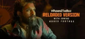 Pushpa 2 Reloaded (2025) Dual Audio Hindi HDRip x264 AAC 1080p 720p 480p ESub