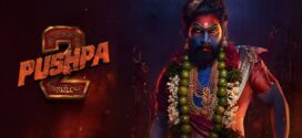 Pushpa 2 The Rule Reloaded Version (2024) UNCUT Dual Audio Hindi ORG NF HDRip x264 AAC 1080p 720p 480p ESub