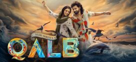 Qalb 2025 Hindi Dubbed Movie ORG 720p WEBRip 1Click Download