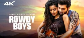 Rowdy Boys 2025 Hindi Dubbed Movie ORG 720p WEBRip 1Click Download