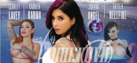 18+ Joanna Angel’s Pool Party 2025 English Movie 720p WEBRip 1Click Download