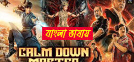 Calm Down Master 2025 Bengali Dubbed Movie ORG 720p WEBRip 1Click Download