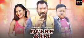Dulhe Raja (2025) S01E01T02 9RedMovies Hindi Web Series HDRip x264 AAC 1080p 720p Download