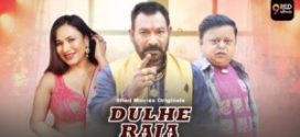 Dulhe Raja (2025) S01E09T10 9RedMovies Hindi Web Series HDRip x264 AAC 1080p 720p Download