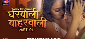 Gharwali Baharwali (2025) S01E01T02 TeFlix Hindi Web Series HDRip x264 AAC 1080p 720p Download