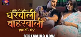 Gharwali Baharwali (2025) S01E03T04 TeFlix Hindi Web Series HDRip x264 AAC 1080p 720p Download