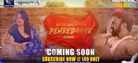 Pehredaaar Again (2025) S01E01T03 BulbulPlay Hindi Web Series HDRip x264 AAC 1080p 720p Download