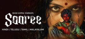 Saaree (2025) UNCUT Dual Audio Hindi ORG HDRip x264 AAC 1080p 720p 480p ESub