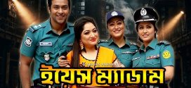 Yes Madam 2025 Bangla Movie 720p WEBRip 1Click Download