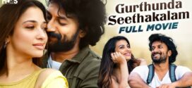 Gurthunda Seethakalam 2025 Hindi Dubbed Movie ORG 720p WEBRIp 1Click Download