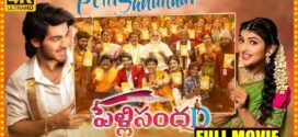 Pelli SandaD 2025 Hindi Dubbed Movie ORG 720p WEBRip 1Click Download