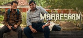 Maareesan (2025) UNCUT Dual Audio Hindi ORG NF HDRip x264 AAC 1080p 720p 480p ESub